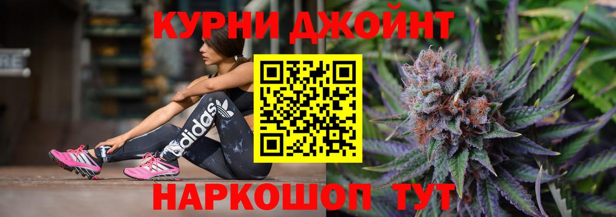 Каннабис OG Kush Удомля